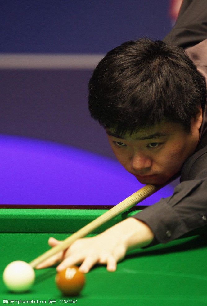 协会的声明 协会的声明